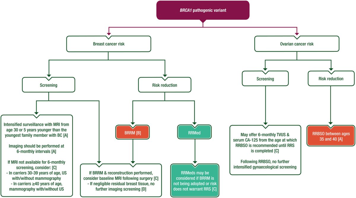 Risk reduction &amp; screening of cancer in hereditary breast-ovarian cancer syndromes: ESMO Clinical Practice Guideline. Developed by multidisciplinary team incl. patient reps, w/ framework 4 managing clinical setting restricted by limited quality data.
ow.ly/sBbi50Lk3z1
#HBOC