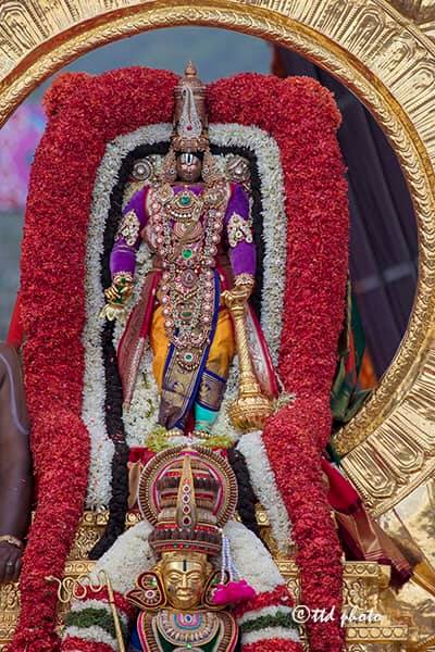 ttd_seva's tweet photo. https://t.co/OeZJjL1xoI