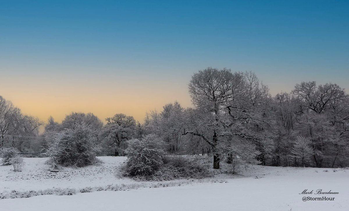 #StormHour tweet media