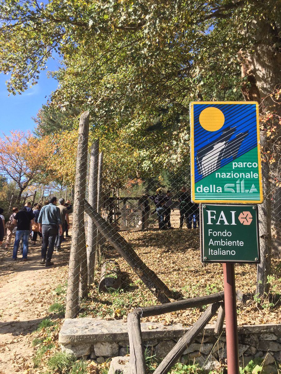Euromontana's tweet photo. We kick off the XII EMC on #SmartMountains with a full day of study visits!
🌲Visiting the Giants of @ParcoSila 
🥔Learning about the PGI Potatoes of Sila
🥾Discovering the #CulturalHeritage of San Giovanni in Fiore https://t.co/yPNLZdCJaq