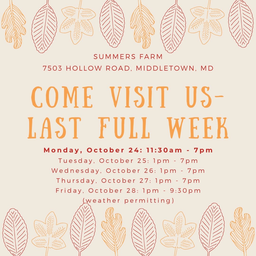 SummersFarm's tweet image. Come visit us for our last full week of our 2022 season! We will be open Tuesday - Thursday 1pm to 7pm and Friday 1pm to 9:30pm and open this weekend! 

We still have lots of beautiful pumpkins waiting to be picked! Last wagon ride is always at 6pm daily.