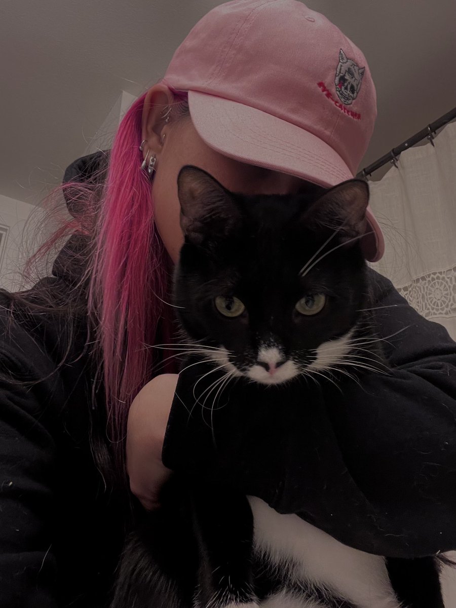 series_archives's tweet photo. halloween brand ambassadors yes the cat (poe) is also one https://t.co/gkbs0rNX9r