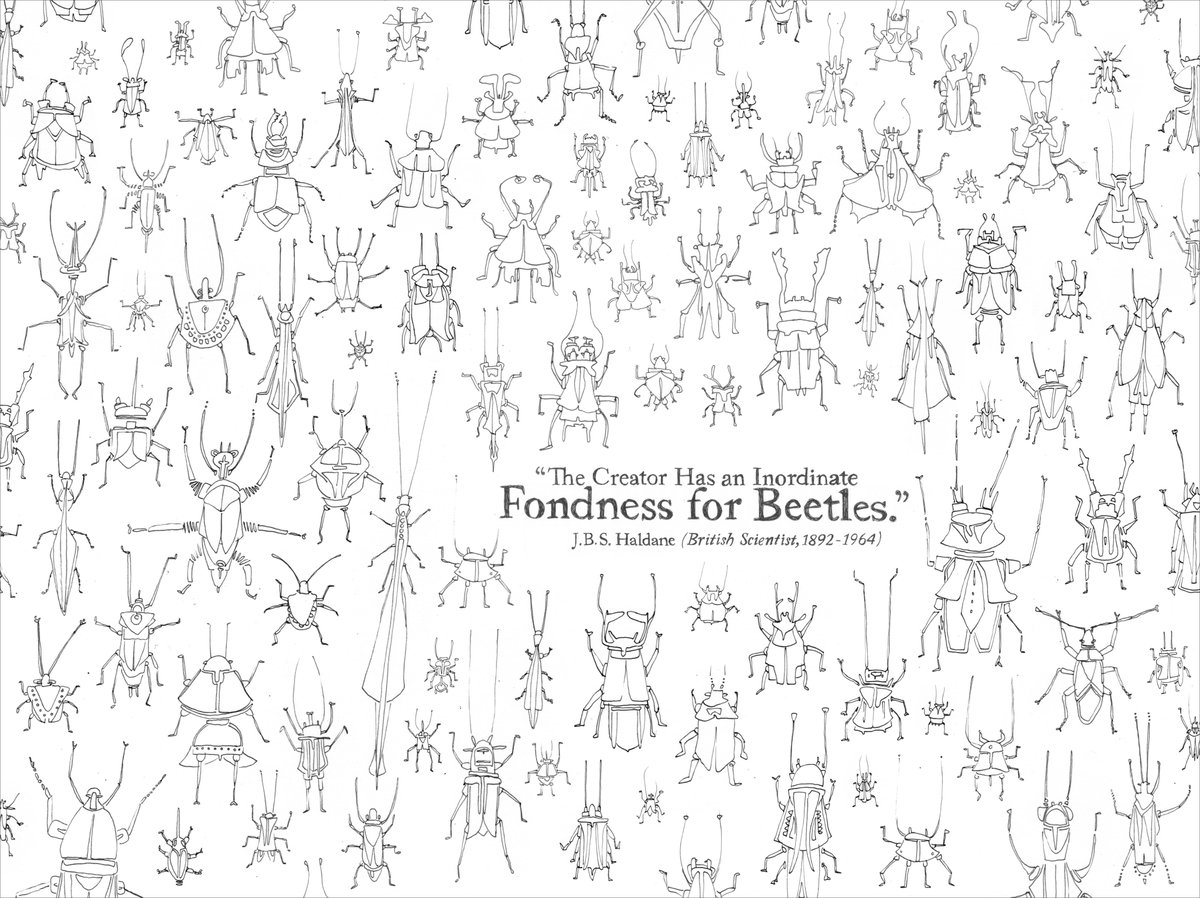 Studio_Ranokel's tweet photo. Gerade zufällig beim Aufräumen gefunden: Meine Illustration für die Gruppenausstellung "Poetic Science" in Bologna von 2015. 🪲
"The Creator has an Inordinate Fondness for Beetles" (J.B.S. Haldane)
#lineart #PoeticScience https://t.co/TYr7DBSJyJ