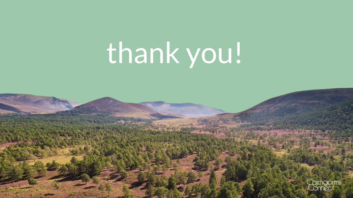 THANK YOU... to everyone who attended and helped out at our first Hill to Grill event ⭐️🍔🌲 It was the first time we've run an event this big, and we were blown away by the support and enthusiasm of over 300 attendees!