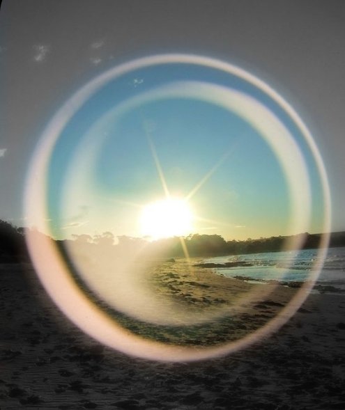 Brose 72🪷 tweet media