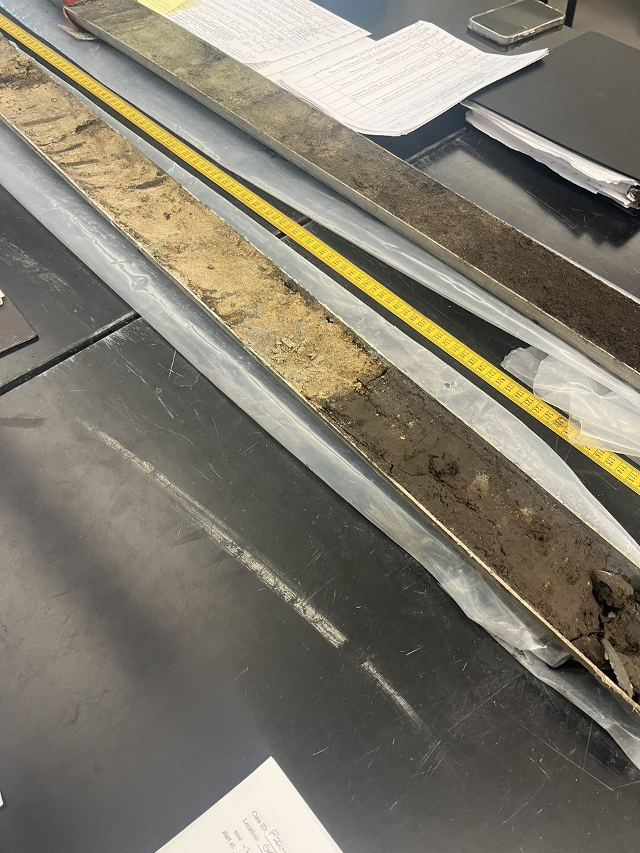 CCUScienceDean's tweet photo. Vibracore part 2: Analysis‼️Our @CCUChanticleers #STEM students reconstruct the past for a marsh by studying cross-sections of earth sediments they collected weeks ago‼️#highimpactpractice #engagedlearning https://t.co/aKvNdqnKDr