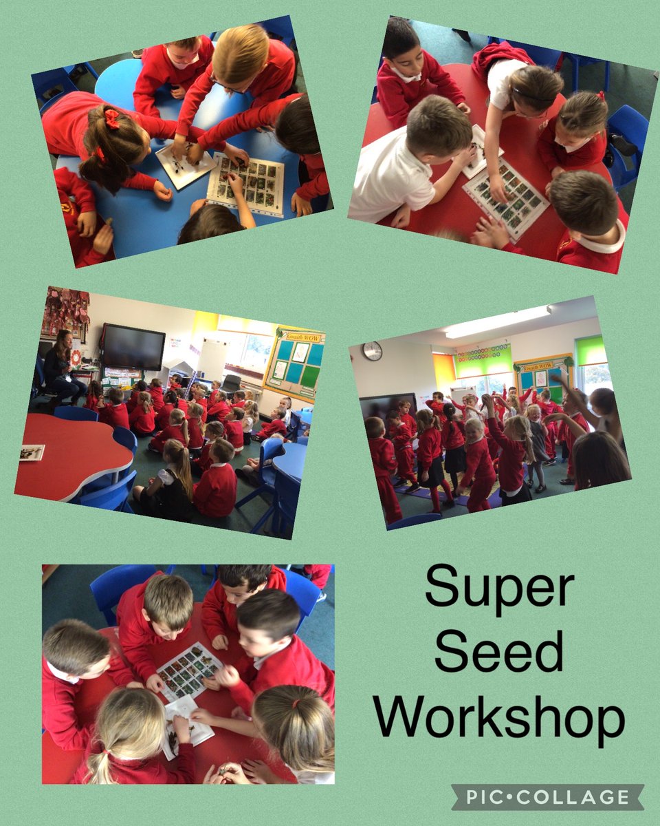 GPSMrsRees tweet media