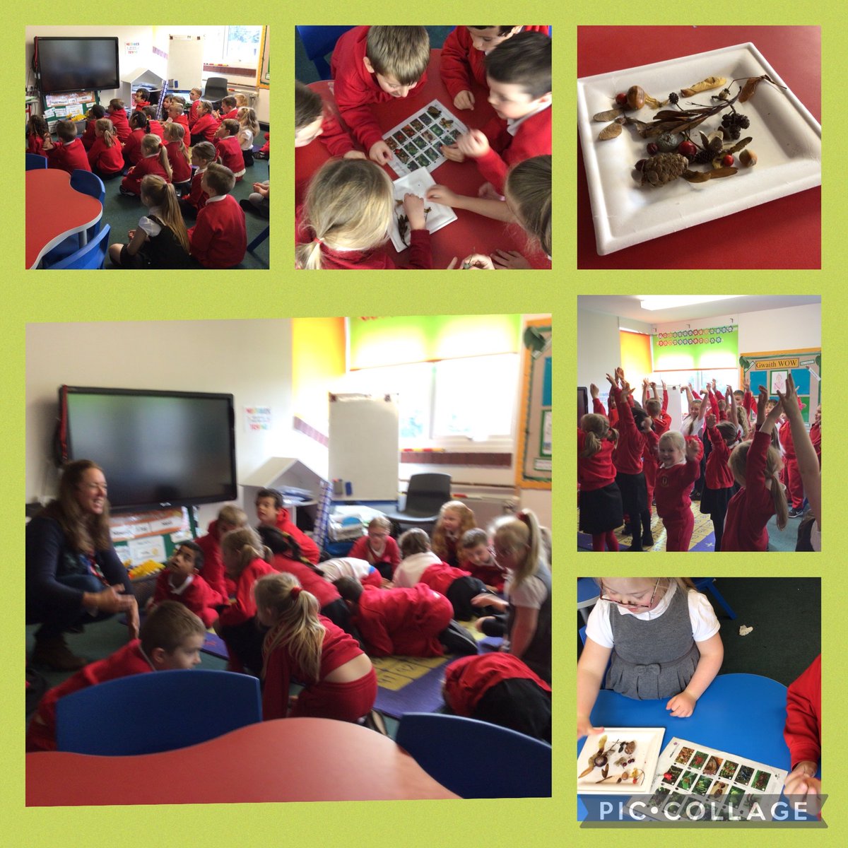 An informative and fun Super Seed Workshop from Becky Ward who is the Biodiversity Officer for Blaenau Gwent.  Thank you, we all learned so much.
<a href="/BeckyEco_Ed/">Becky Ward</a>