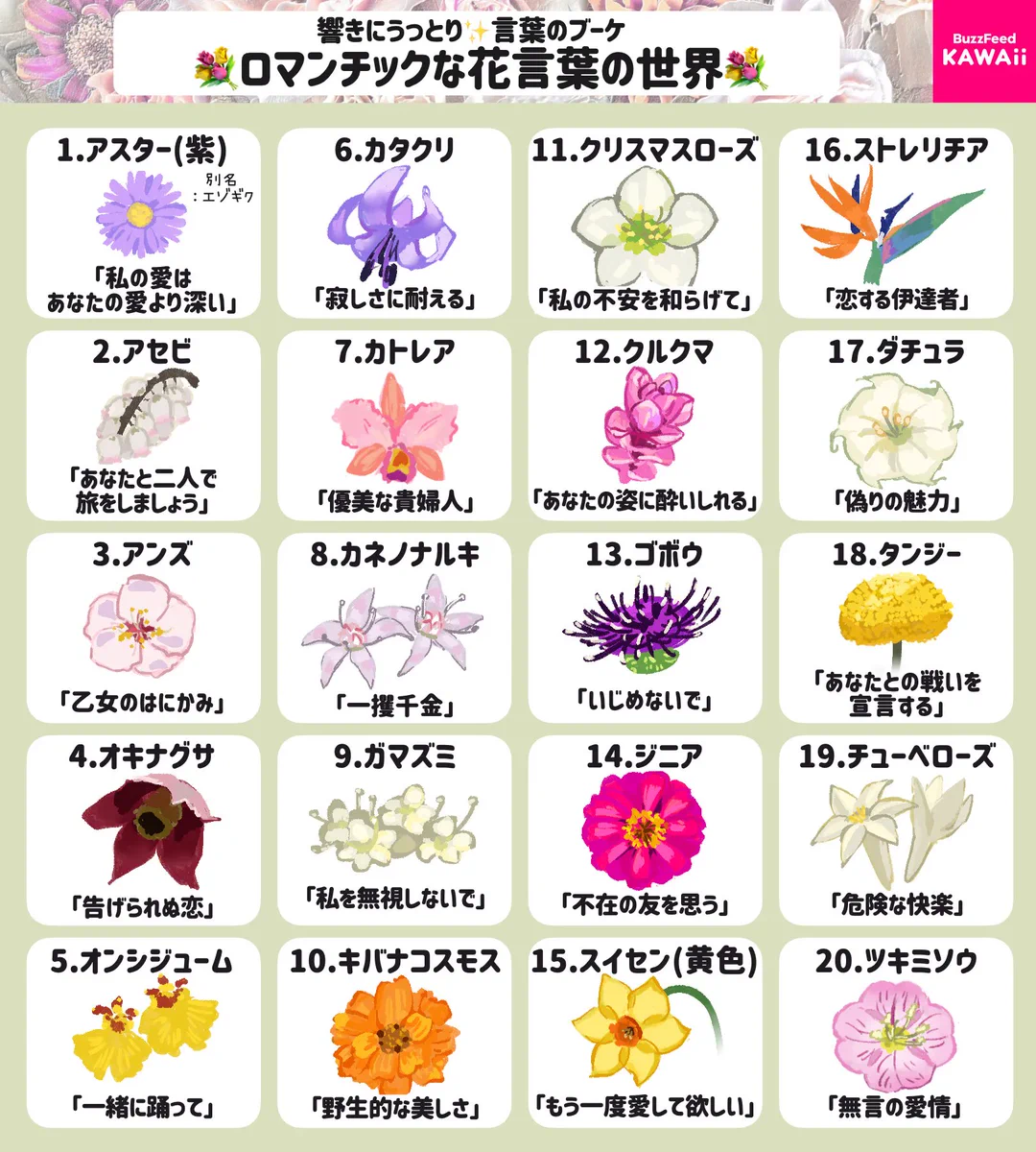 知る前と後でその花への印象が変わるかも！素敵な花言葉40選！