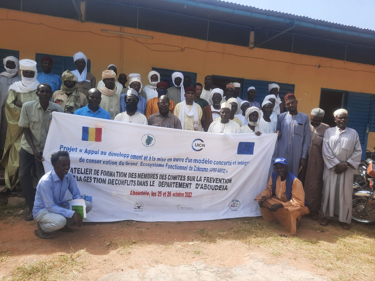 Sotouksi odette tweet media