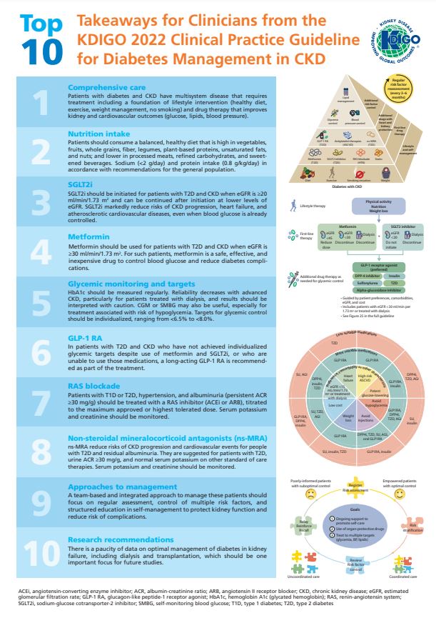 📚Guía de práctica clínica <a href="/goKDIGO/">KDIGO</a> KDIGO 2022 para el manejo de la diabetes en enfermedad renal crónica👉 10 mensajes clave para profesionales sanitarios kdigo.org/guidelines/dia…