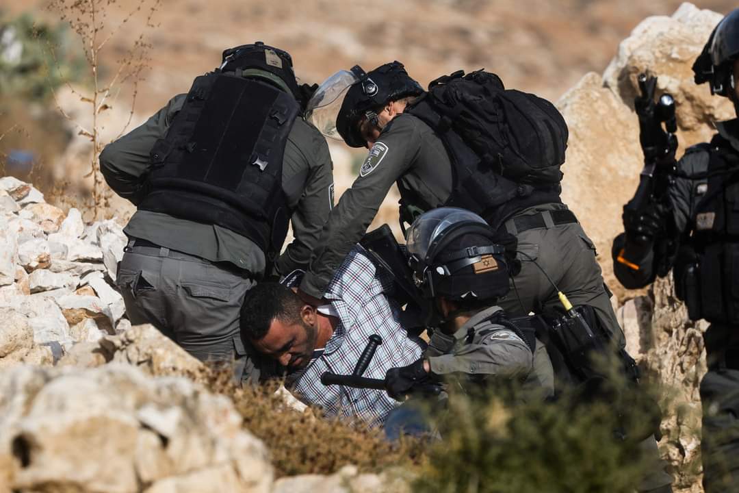 AyaIsleemEn's tweet photo. #Palestine today https://t.co/2e38rvllOU