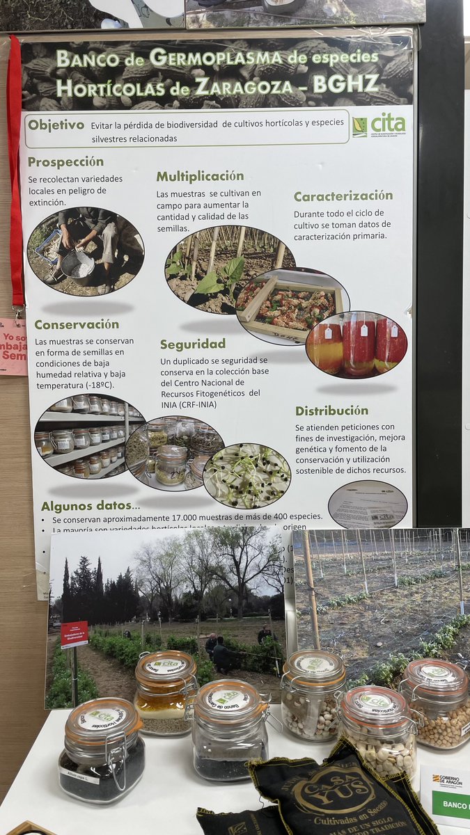 CITAAragon's tweet photo. Hoy hemos recibido la visita de @SlowFood para potenciar la adhesión del melón de Torres de Berrellén a su proyecto de #Baluartes 🍈🍈🍈

También nos acompañan miembros de la Asociación de Amigos del Melón de Torres de Berrellén , @Gardeniers1  y Hermanos Mené como productores https://t.co/qzns1hrttM