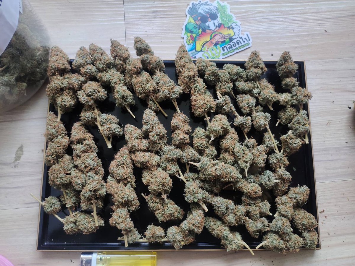 CCT MisterThree tweet media