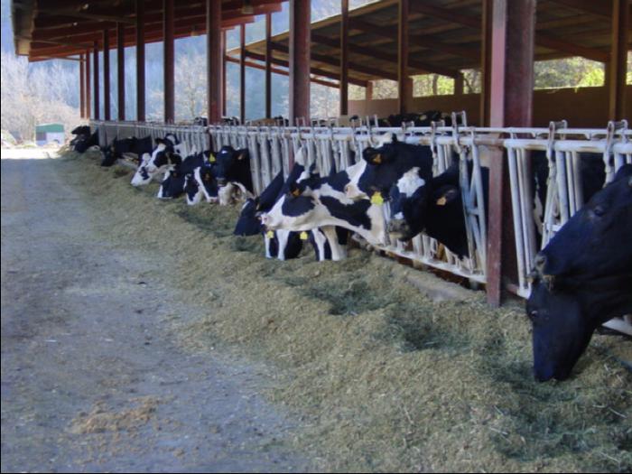 🥛 Constituïda la Fundació Institut de la Llet i els Productes Làctics de Catalunya.

🐄 La nova institució esta liderada pel sector lleter i té l’impuls inicial del Departament d’Acció Climàtica, que hi aporta 70.000€ el 1r any i 100.000€ el 2n any.

👉govern.cat/salapremsa/not…