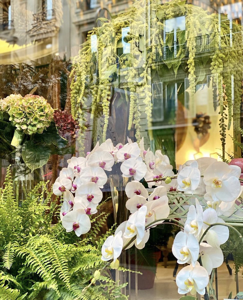 Michele  B. Duvalier tweet media