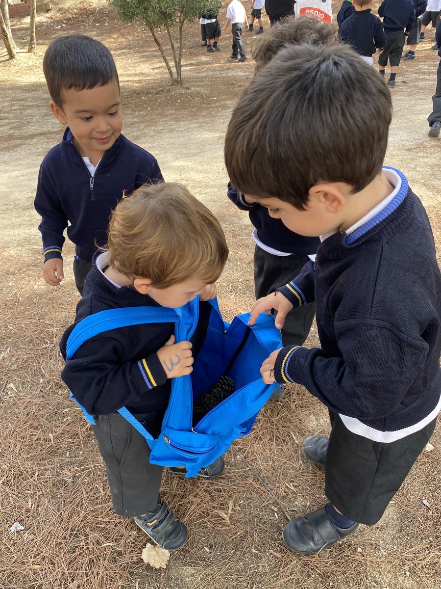 InfantilTajamar's tweet photo. Y tú ¿Cuántas piñas has encontrado?🍂
Los alumnos de #3años han ido a buscar piñas por el bosquecillo del colegio.🌳🌳. Han aprendido algunas características del otoño: los colores de las hojas, los frutos..
¡Y han visto una ardilla 🐿️en la copa de un árbol!
#Otoño #ProyectoABP https://t.co/jiHwcSTfiU