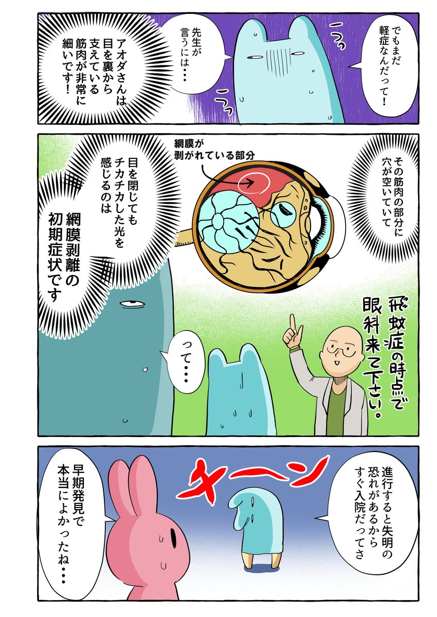 網膜剥離になった時のことをマンガにしてあるので、よかったら読んでいってね! 