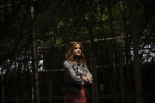 "Stigma from landlords, high demand, a conflict between federal and state laws, and varied municipal regulations of the industry have all contributed to a pinched real estate market for cannabis retailers." <a href="/ABQJournal/">Albuquerque Journal</a> 

abqjournal.com/2540434/reefer… 
#NewMexico #CannabisIndustry