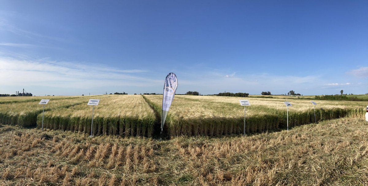 En breve comienza! Los esperamos Jornada <a href="/aad_dolores/">Asociación Agropecuaria de Dolores</a> 🍻 <a href="/maltoriental/">Maltería Oriental SA</a>