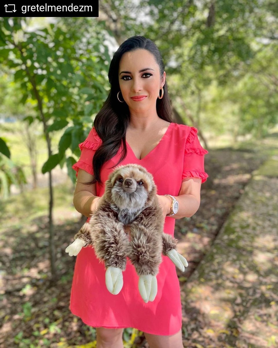 ADOPTA Bosque (@adoptabosque) on Twitter photo Gracias a la talentosa presentadora <a href="/GretelMendez/">Gretel Méndez</a> por Apoyar la campaña @StopAnimalSelfies
Ésta busca evitar que las personas molesten los animales silvestres por una foto 🤳✖️
Yo no maltrato animales silvestres por un selfie!
Mejor se toma una foto con un peluche de Perezoso 🦥 Gracias a la talentosa presentadora <a href="/GretelMendez/">Gretel Méndez</a> por Apoyar la campaña @StopAnimalSelfies
Ésta busca evitar que las personas molesten los animales silvestres por una foto 🤳✖️
Yo no maltrato animales silvestres por un selfie!
Mejor se toma una foto con un peluche de Perezoso 🦥