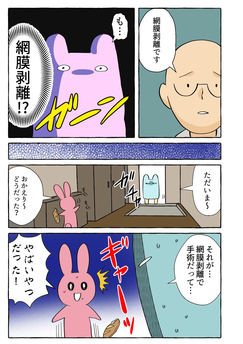 網膜剥離になった時のことをマンガにしてあるので、よかったら読んでいってね! 