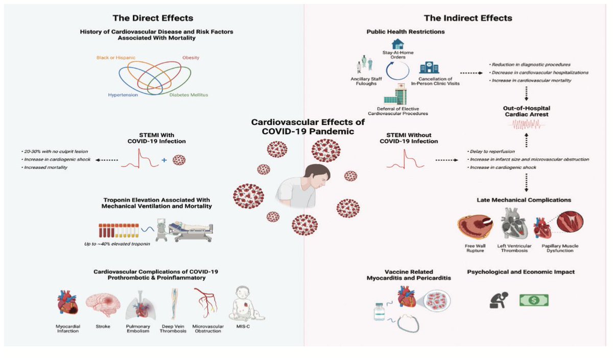 Impact of COVID-19 on Cardiovascular Disease

The care of patients with cardiovascular disease has been dramatically affected by the COVID-19 pandemic with both direct and indirect effects: okt.to/rdSZvz
<a href="/GruentzigSoc/">International Andreas Gruentzig Society</a>