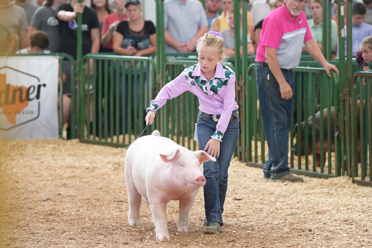 JUST ANNOUNCED 📣 2023 Indiana State Fair Livestock Schedule!  Click here to view >> bit.ly/3N8GZsw