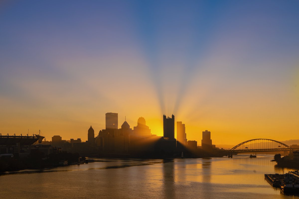 Dave DiCello tweet media