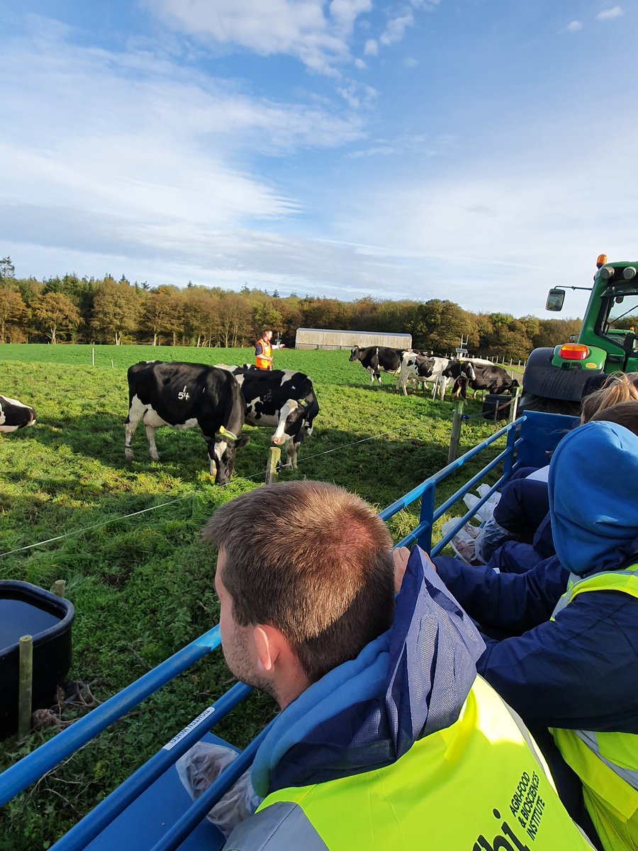 Siobhan Jordan tweet media