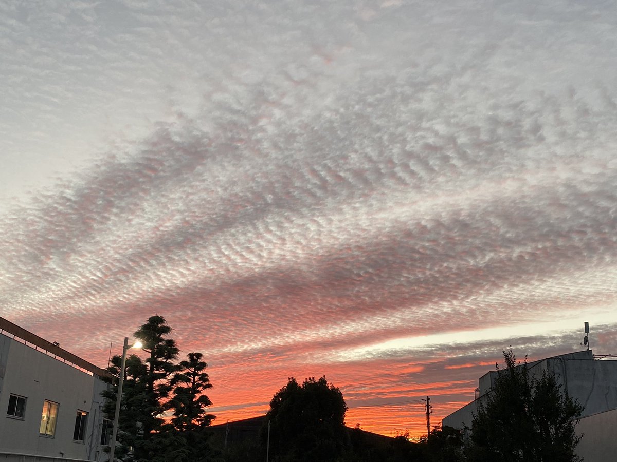 ある日の夕焼け
#夕焼け #冬がくる