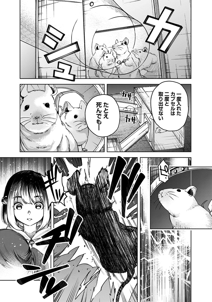 (8/16) 