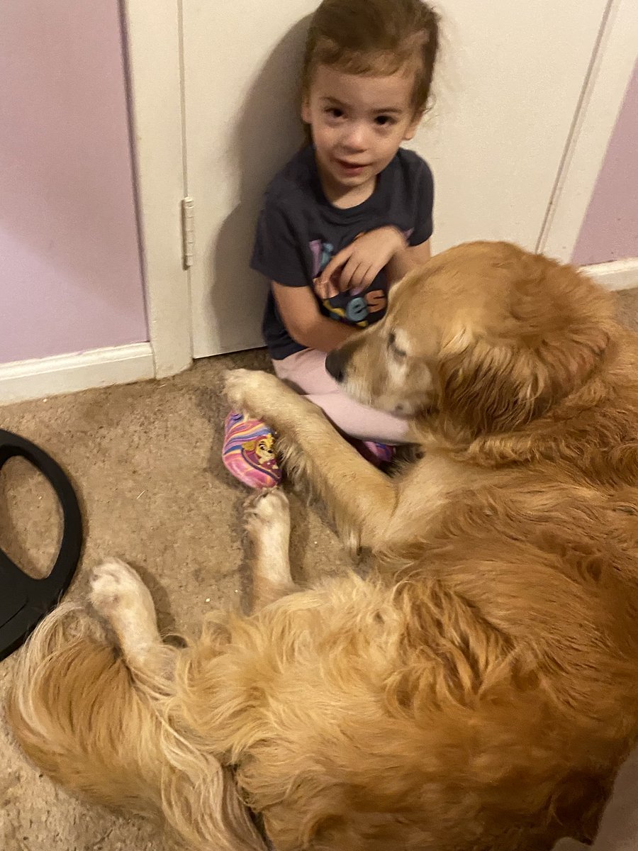 AdsPrincess08's tweet photo. @TheGoldenRatio4 I’m so obsessed with him and how perfectly he fits in with us. We weren’t even looking after losing Brooks earlier this year, we needed a break. But the stars aligned to make our hearts whole again. (Wilson is the darker one) https://t.co/nV3tOdCxSe