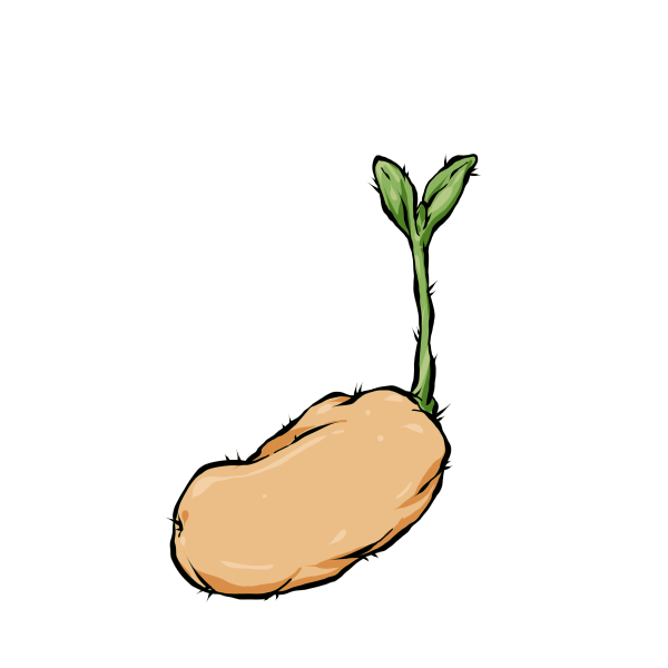 You are early. The seed is planted and growing!  #NFT #NFTshills #NFTCommuinity #nftcollectors