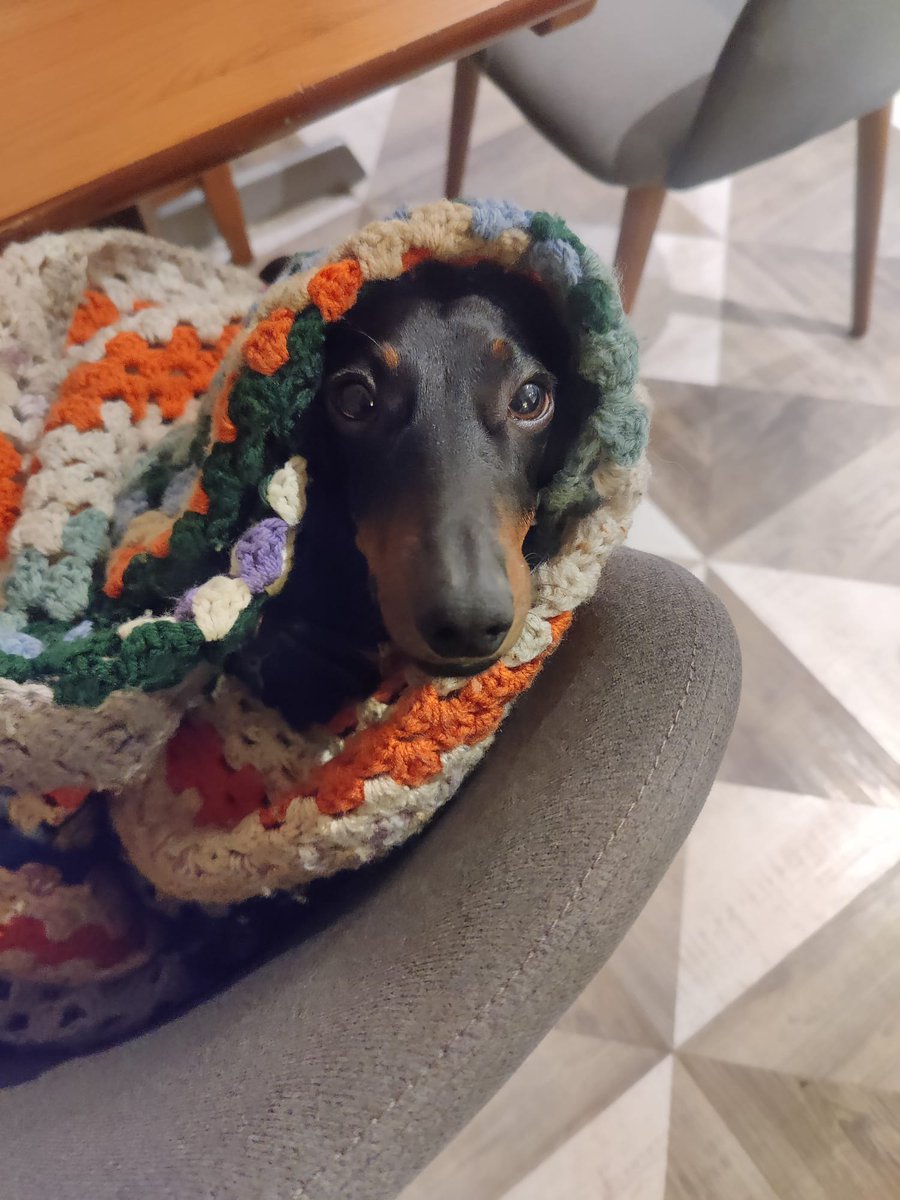 Oh no, fireworks season has started already.