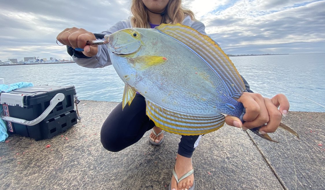 gyotack626's tweet photo. 無言フォロー失礼します🫡

28歳👩釣り歴2年🎣
なんでも釣ります🌼

気軽にどーぞ♡ https://t.co/qBLFPpJAMS