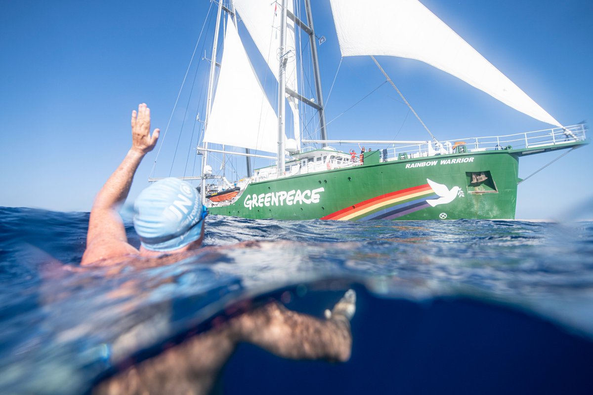 Welcome to the Red Sea Rainbow Warrior!🌈 Today, I shared the ocean with the legendary #Greenpeace ship that has campaigned for our environment since the 70s. I look forward to meeting environmental activists at #COP27. Their voices must be heard💙 #RainbowWarrior #CoralSwim