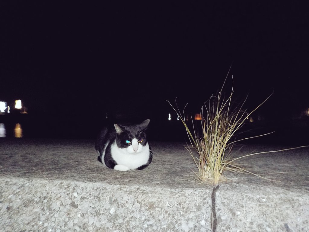 monkey4mountain's tweet photo. πΈ"No man ever steps in the same river twice, for it's not the same river and he's not the same man."
-Heraclitus
π·πππ
#CAT
#CATharsis π
#Training πβ οΈ
#TrainingMonday
#TrainingTuesday
#TrainingMask
#10kg #WeightJacket
#6km #Running https://t.co/Kjvlz4ANJo