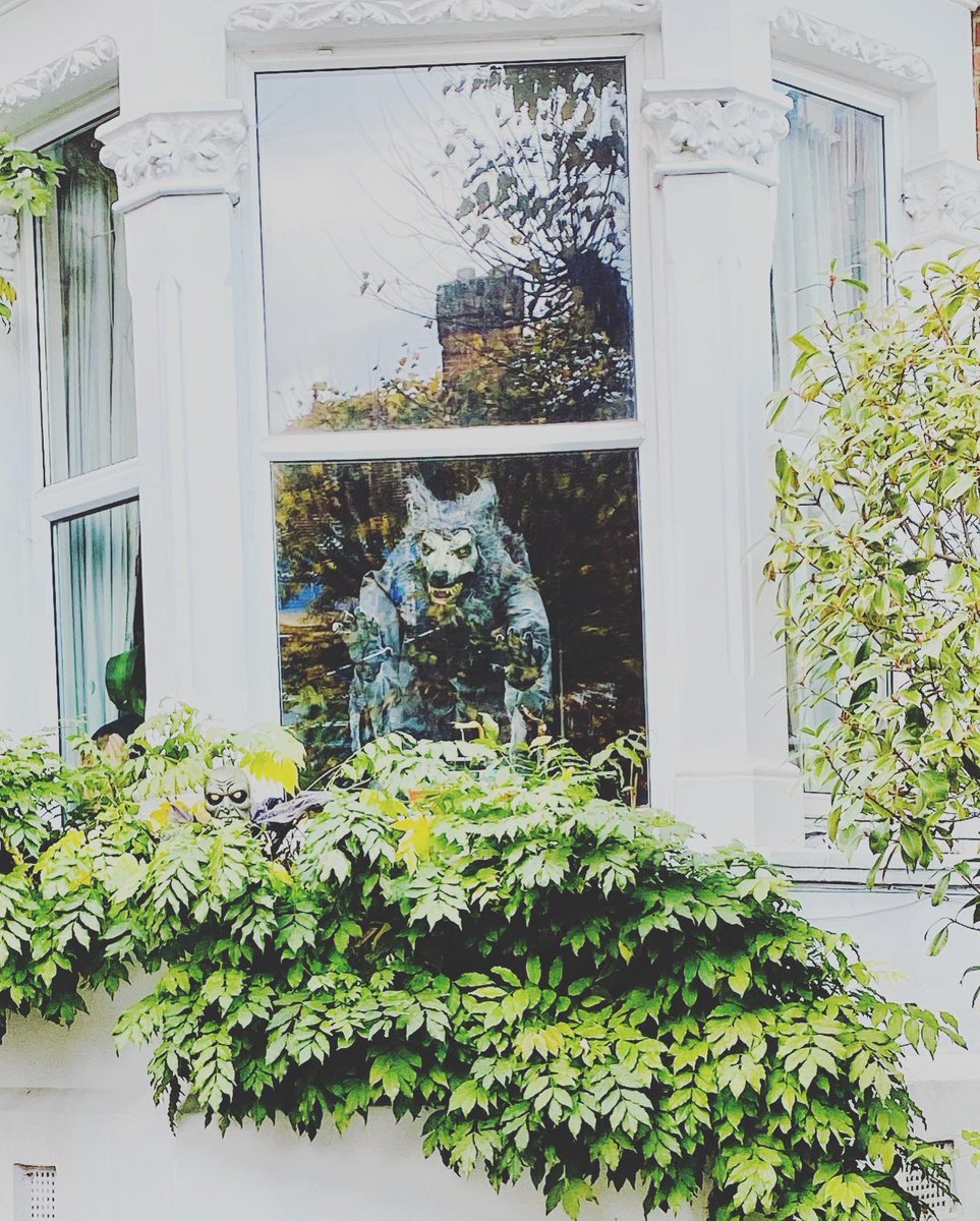 Quite the most terrifying walk to the shops this morning