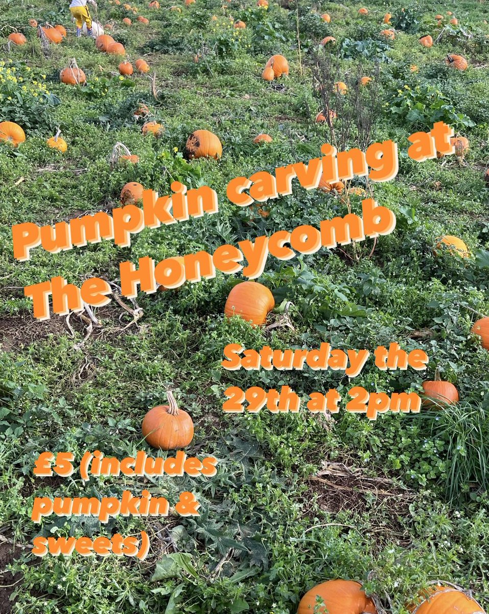 HoneycombToys's tweet photo. Join us for pumpkin carving this Saturday!  See pic for details.  Message/email to book! https://t.co/4zvyU3CKyC