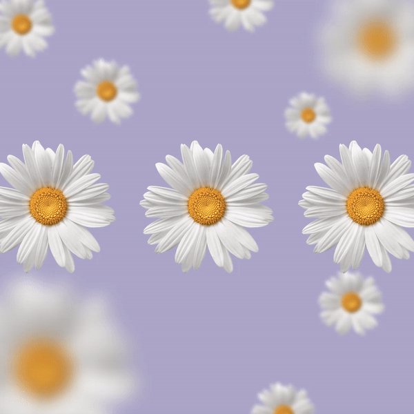 demajors NFT | MINT IS LIVE !! tweet media