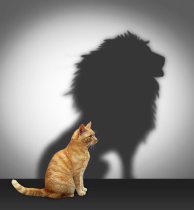 The bible says a man is as he thinketh. If you want to be successful, you have to change your mindset. If you want more from life... There's really no way around it. Your lack of belief is what makes it hard.