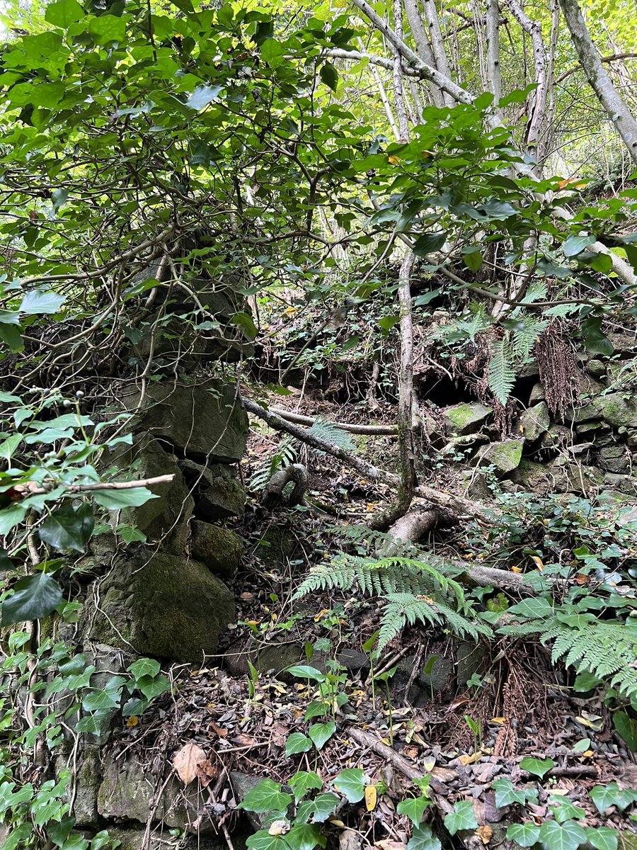 Went for a walk on my land. Found some ruins. As you do.