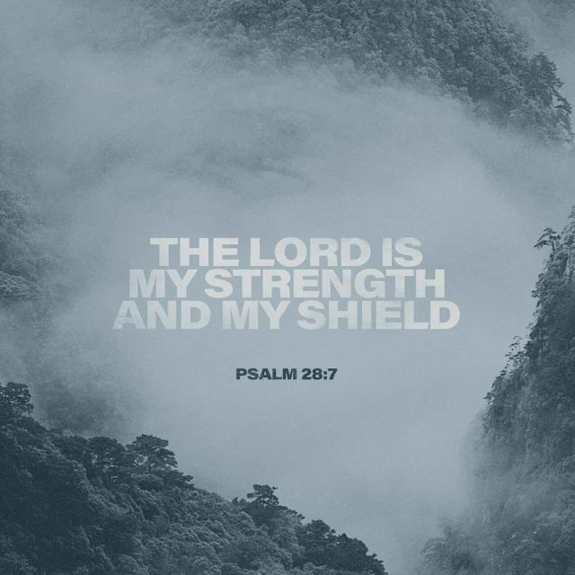 AnnieVocals's tweet photo. Psalms 28:7 https://t.co/6vdvPhwd1n