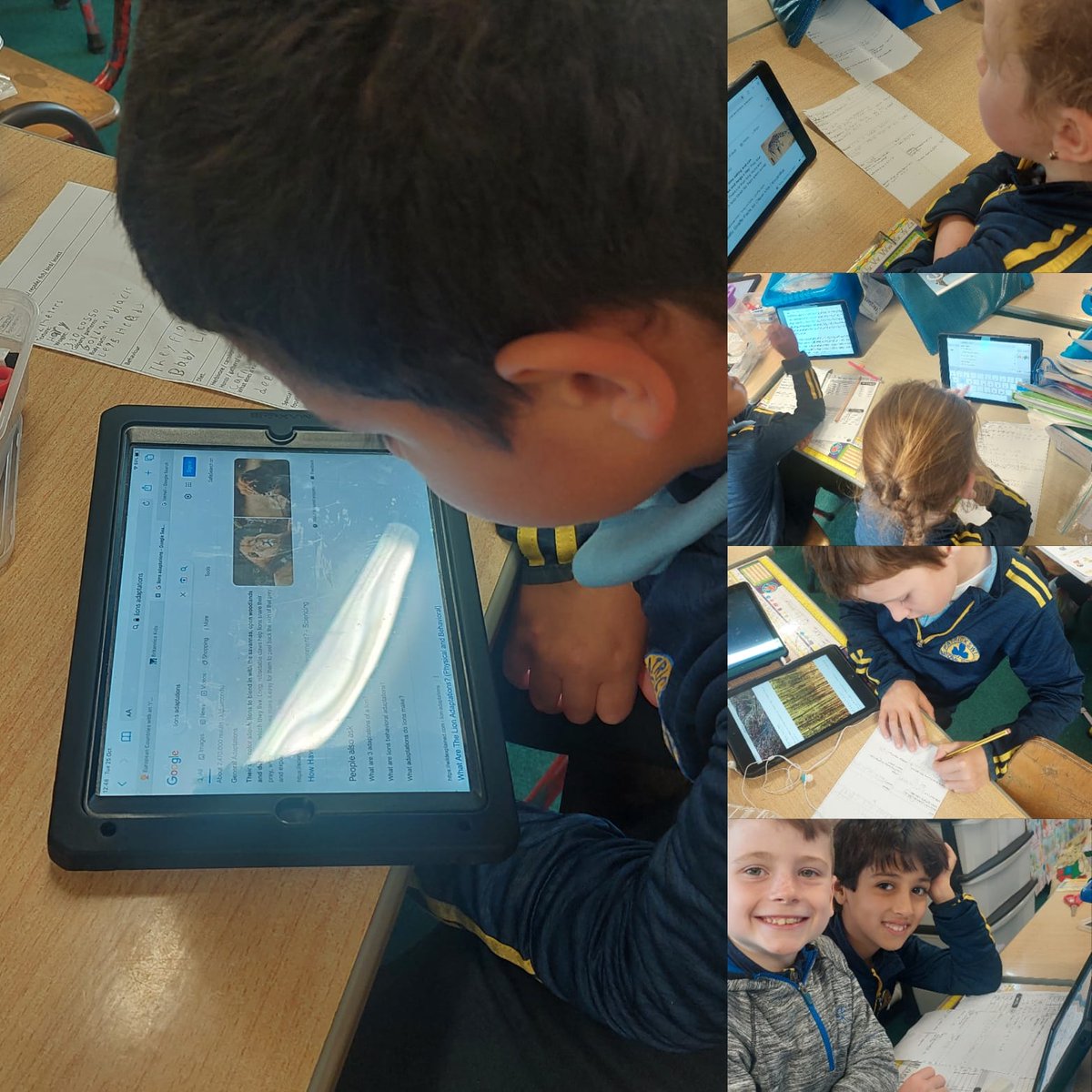 PatrickswellNS's tweet photo. We loved using our ipads to research our chose animal. We are finding out lots of fun facts about different wildlife to help us write a report on them. #STEM #sfi #scienceireland #AppleEducation https://t.co/O1QBQTvXWZ