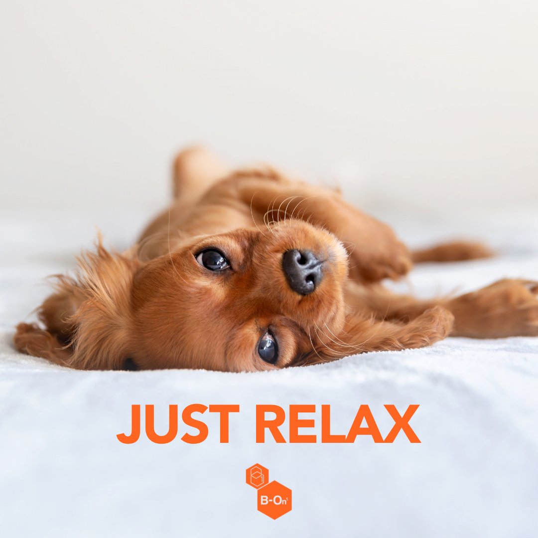 It's not always that easy, is it? 
Don't worry; the RELAX Patch is here to help ☺️

b-on-1.com