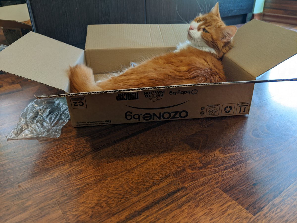 DopaminOg tweet media