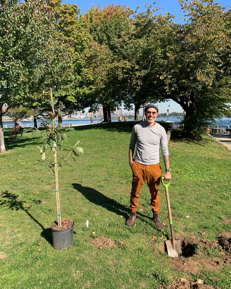 TreesNewYork's tweet photo. We celebrated #PlantATreeDay on #RooseveltIsland w/@iDig2Learn, helping them realize their vision of an #urbanforest at #LighthousePark. All 12 #species we planted were #nativetrees like #Oak, #SugarMaple, and #Sourwood. Thank you @onetreeplanted for supporting this project! https://t.co/CcCY8Tm1zA