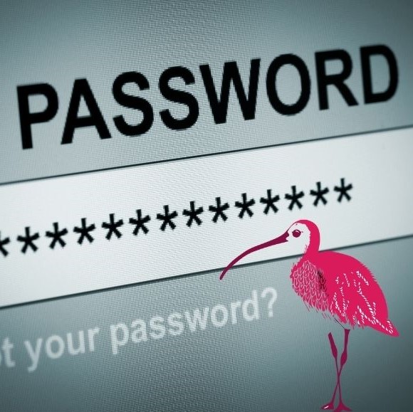 Pinklinkladies's tweet photo. Pink Link member Gwen Backhouse @CurlewSS shares her take on password managers and the best way to keep your essential passwords safe. Read more, in Gwen's blog, here : https://t.co/Nw4gJfiuRd https://t.co/md15gHkJiC