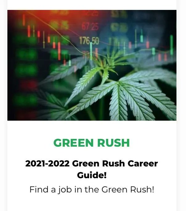 CannabisTrainU's tweet photo. Get your FREE cannabis career E-Book guide!
2022 Green Rush Career Guide! Find a job in the Green Rush!
https://t.co/nGEycO0PRG
#cannabisjobs #dispensaryjobs #budtenderjobs #cannabiscollege #growingjobs https://t.co/5FOj9nzujN